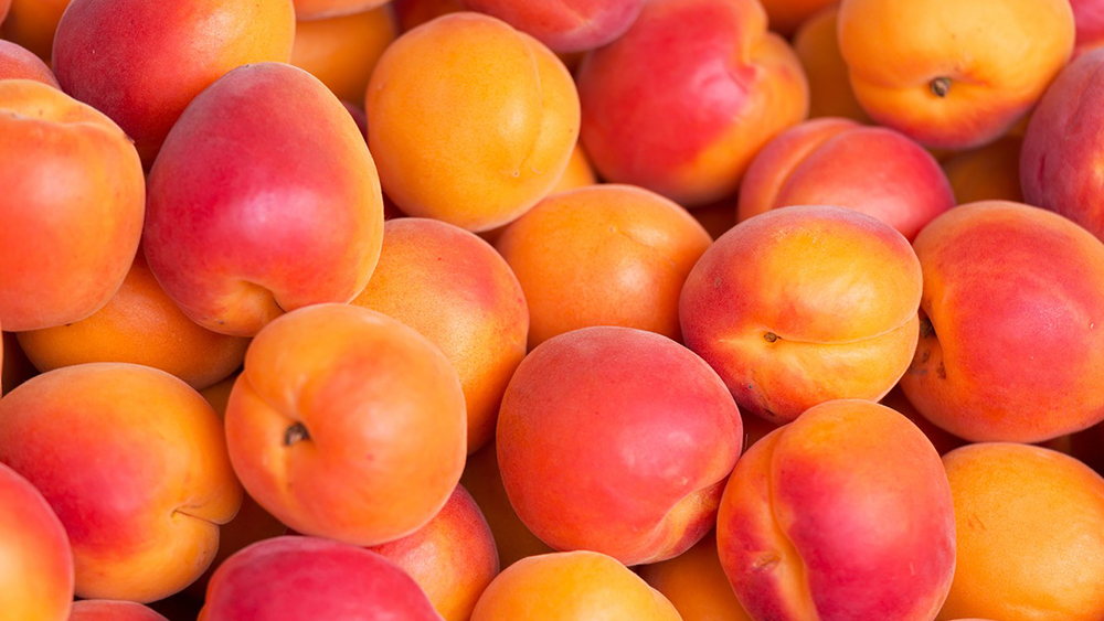 malfruit